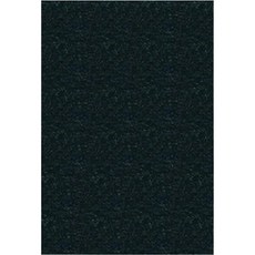 Hyunjin EV 魔鬼氈 EVR510 10入, 黑色