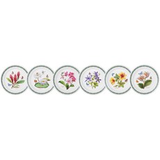 포트메리온 엑소틱 보타닉가든 대접시 D형 6종 세트, 1세트, 대접시 6종, 혼합색상