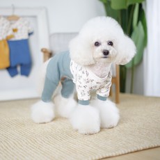 AMYLOVESPET 狗狗 貓咪 LA 寶寶花朵韓服, 連身衣綠色