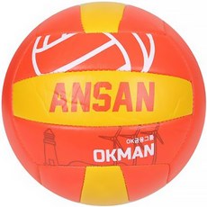 OK금융그룹 ANSAN 배구공