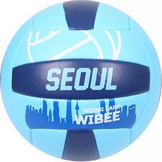 우리카드 SEOUL 배구공