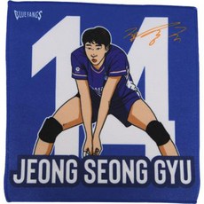 LOCKERDIUM 三星火災選手鄭成規插畫手巾, 藍色, 1個