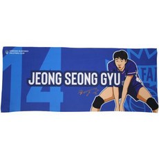 LOCKERDIUM 三星火災球員鄭成圭插畫毛巾, 藍色, 1個