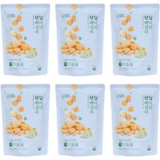 자연공유 단백질이 답이다 과자 어니언맛, 50g, 6개