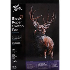 벨리안 전문가용 블랙페이퍼 패드, 25개