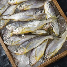 목포수협 생물 참조기 소 14~16미, 1kg, 1개