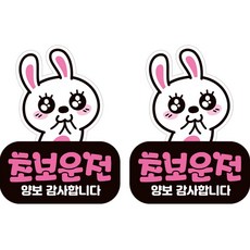 JEJEDECO 汽車彩色高亮度反光磁鐵貼紙 新手駕駛 方形直式 L110 LC006, 2個, 混合顏色