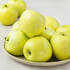 푸드베이스 GAP 인증 산지직송 시나노골드 사과, 2.5kg(11~13입), 1박스