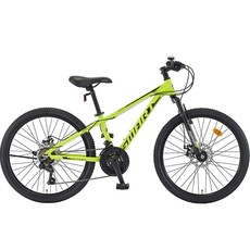 스마트 자전거 엑스포스D 24, 160cm, 네온그린, 1개