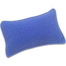 친환경편백아트 프리미엄 편백 구슬형칩 베이직 베개, 연파랑, 1개