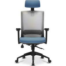 체어포커스 컴즈 블랙바디 메쉬 의자 C506BK, 그레이(등판), 고급 블루(헤드레스트, 방석)