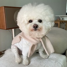 바이담수미 강아지 페이크가디건, 베이지, 1개