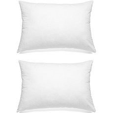RAUM Roi 枕頭棉 2p，將改變你的一天, 白色的