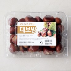 아산율림 대보밤 대, 700g, 1개