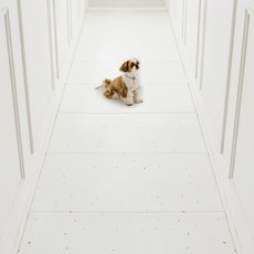 디팡 펫플레이매트 강아지매트 폴딩타입 100폭, 테라조 화이트, 1개