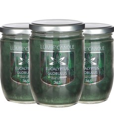 Lumier 家用蠟燭 365, 藍桉, 3個