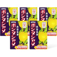 南國特產橘子糖 10枚入, 5盒, 45g