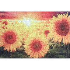 sangsanggram 防滑向日葵入口線圈墊 900 x 600 x 13 毫米, 向日葵, 1個