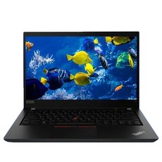 레노버 2022 씽크패드 T14 AMD G2 라이젠7 Pro 라이젠 5000 시리즈, Black, 500GB, 16GB, WIN10 Pro, 20XKS06G00