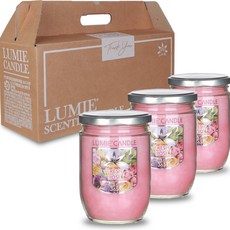 Lumier 家庭蠟燭 365g, 新鮮玫瑰, 3個