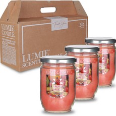 Lumier 家庭蠟燭 365g, 果味微風, 3個