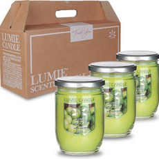 Lumier 家庭蠟燭 365g, 閃光火槍, 3個