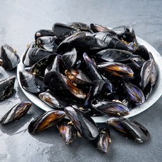 바다자리 국산 생물 홍합 (냉장), 1개, 1.5kg