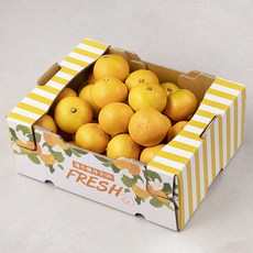 블랙홀 제주 청년 농부 감귤, 3kg(2S~M), 1개