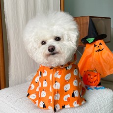 BYDAMSOOMI 小狗萬聖節快樂斗篷, 橙色