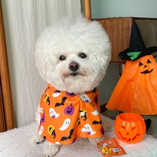 BYDAMSOOMI 小狗南瓜絨球斗篷, 橙色