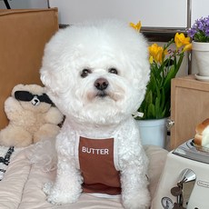 BYDAMSOOMI 小狗 Yami 廚師圍裙, 棕色的