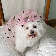 bydamsoomi 狗狗女巫萬聖節頭紗, 粉紅色