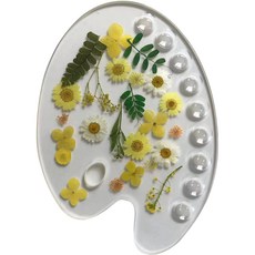 壓克力干花盤 F, 9個空格, 1個