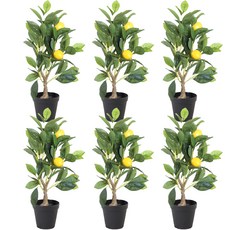 마쉬매리골드 리얼 레몬 프리미엄 열매 조화나무 XS 50cm, 그린 + 브라운, 6개