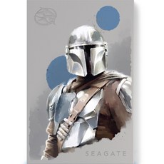씨게이트 Firecuda Gaming HDD Star Wars Mandalorian 외장 하드 + 데이터 복구, 2TB, STKL2000405