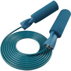 ETUDIER 유산소운동 길이조절 와이어 베어링 줄넘기, 블루, 1개