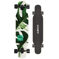 비바스포츠 입문용 스케이트보드, 몬스테라, 1개