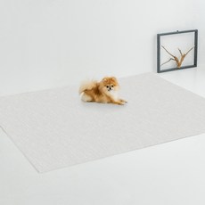 디팡 강아지 펫플레이매트 러그타입, 시크그레이, 1개