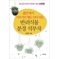 伴侶植物盆景石頭擺飾, 心靈詩社