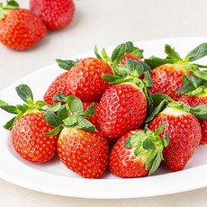 명실상주 상주 설향딸기, 500g(특), 1개