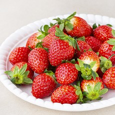 명실상주 상주 설향딸기, 500g(상), 1개