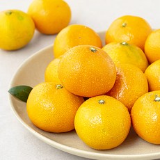 제주감귤박람회 2022 제주 감귤 로열과, 1팩, 1.2kg(S~M)