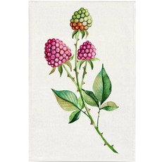 지앤와이 수채화 플랜츠 벨크로 커튼