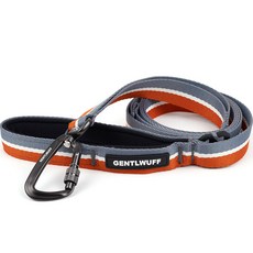 gentlwuff 狗狗牽繩, 秋日傍晚, 1個