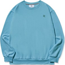 DIELCRI 男款大尺碼Serif字體logo大學T