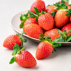 과일진심 GAP 인증 산청 금실딸기(상), 500g, 1개