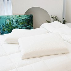 앳홈 에어홀 오가닉 씨셀 메모리폼 베개, 화이트, 1개