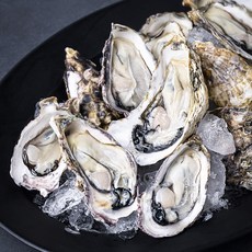 갯마을 하프셀 반각석화 굴 30미, 900g, 1개