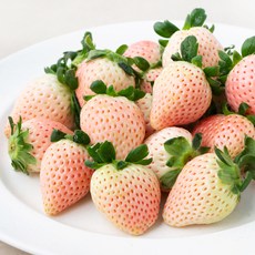 올프레쉬 GAP 인증 화이트 딸기, 500g, 1개