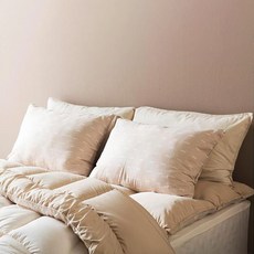 기절베개 속통 2p + 커버 2p 세트, 베이지, 1개